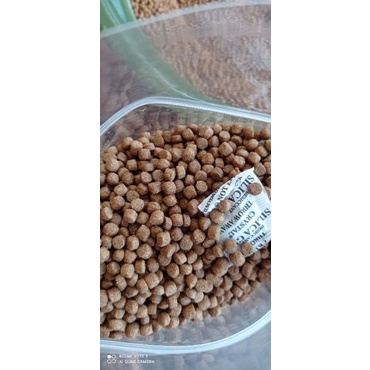 PELET MAGGOT PREMIUM ALL SIZE (1,2,3 dan 5mm) 1KG uji lab protein 49%