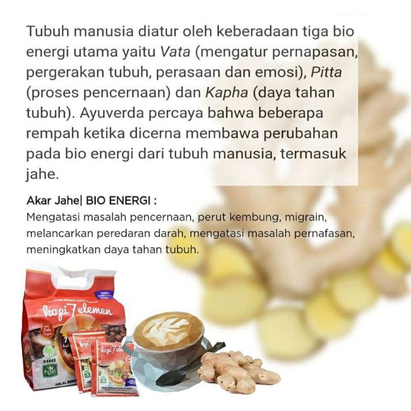 

KOPI SEVEN ELEMEN 20sachet
