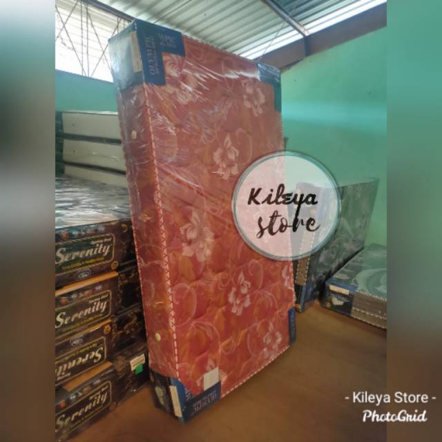 Springbed Olympic Sloth Bearland