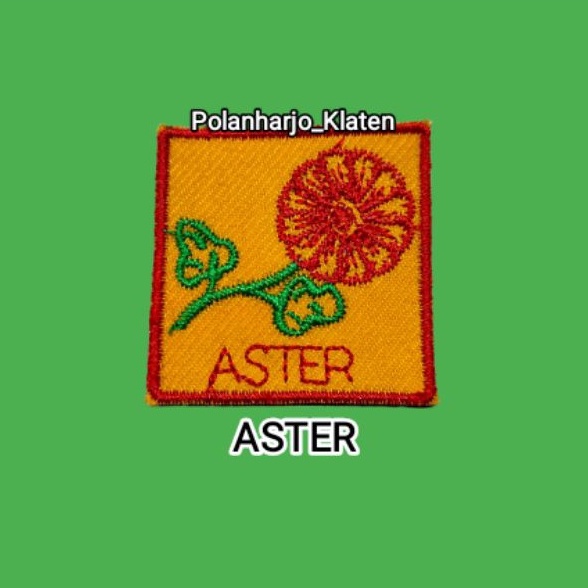 Tanda Regu Pramuka Putri Aster / Tanda Regu Pramuka Aster / Tanda Regu Aster