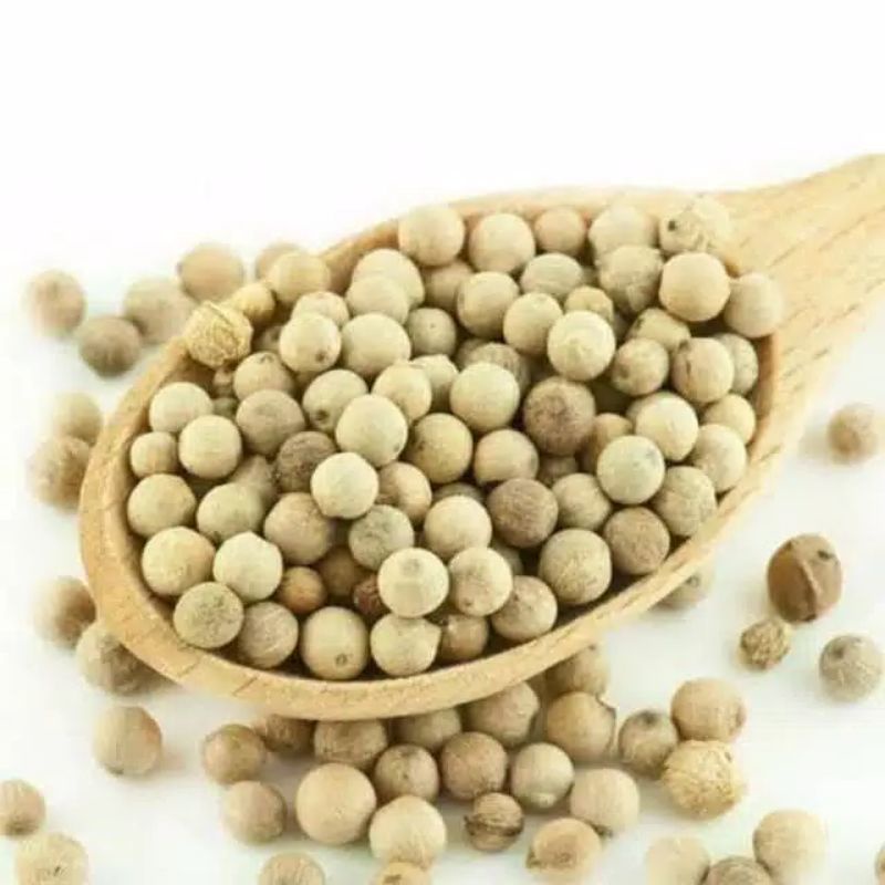 

MERICA MRICA LADA PUTIH 7.500 ATAU 50 gram