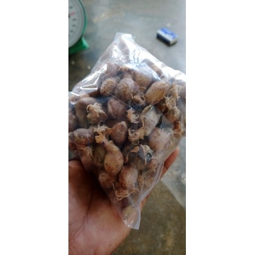 

bebi telur
