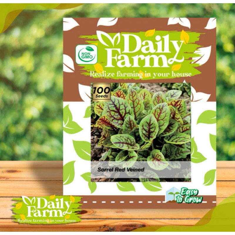 Benih Bibit Sayuran Sorrel Red Veined