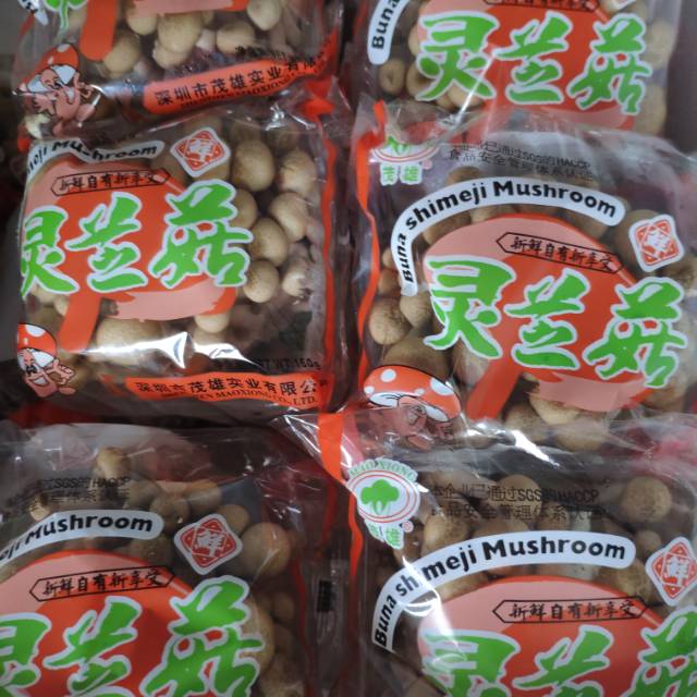 

Jamur Shimeji coklat