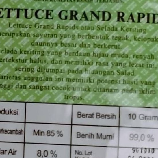Benih selada keriting GRAND RAPIDS TAFUNG 10 gram slada hijau kribo ta fung 10gr grand rapid-1