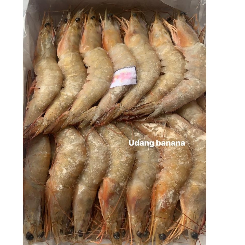 

UDANG BANANA / UDANG VANAMEI / WHITE PRAWN / UDANG JERBUNG- BEKU