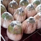 

Buah Kelapa Kopyor Genjah Asli Pati