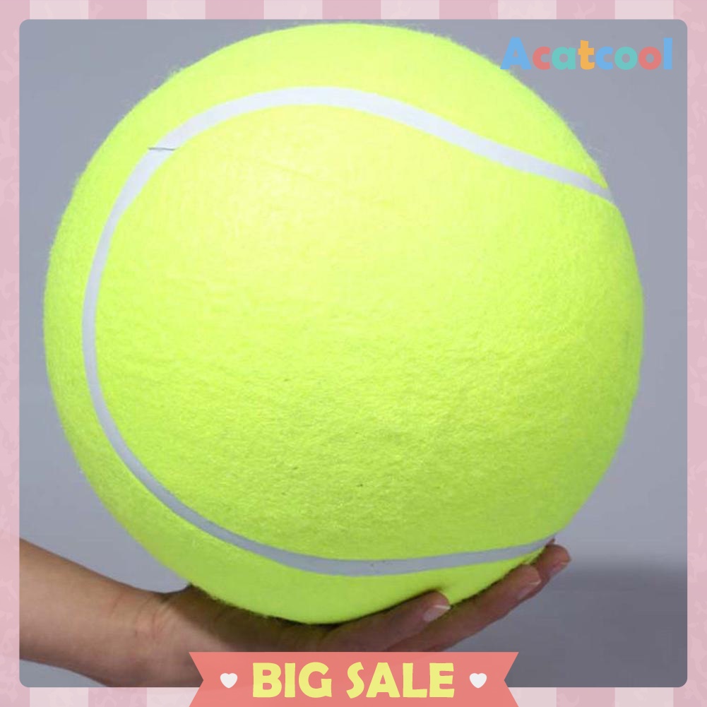 9.5' Big Giant Pet Dog Puppy Tennis Ball Thrower Chucker Launcher Play Toy