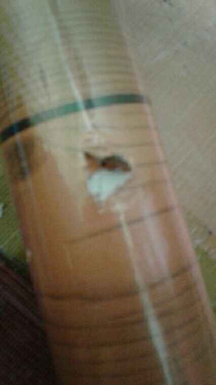 Wallpaper Stiker Dinding Salur Hijau 10m X 45cm