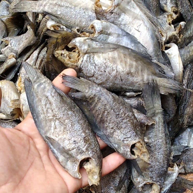 

IKAN ASIN SEPAT SIAM