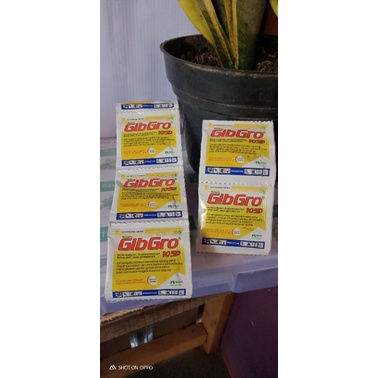 GIBGRO / ZPT ZAT PENGATUR TUMBUH