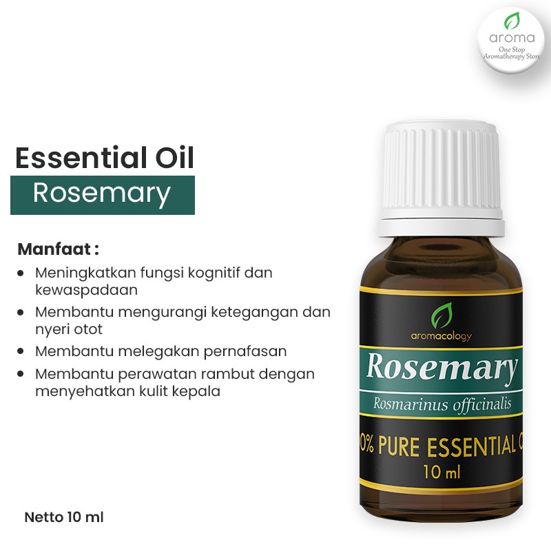 Essential Oil Aromatherapy Aromacology - Rosemary 10ml