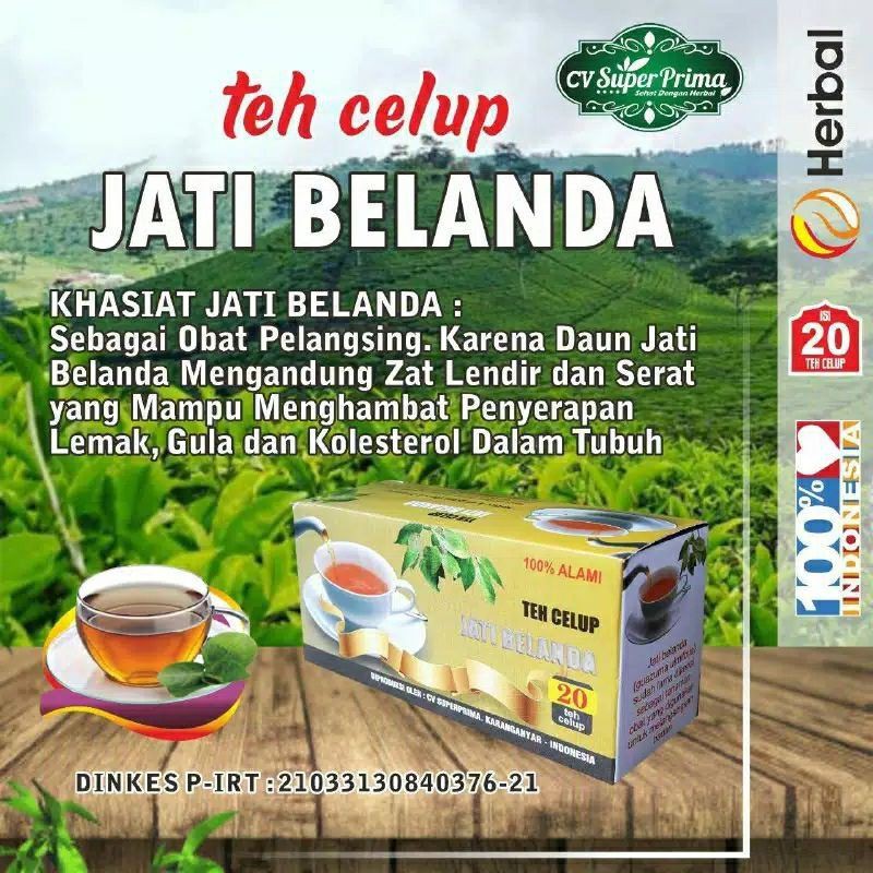 

TEH PELANGSING JATI BELANDA