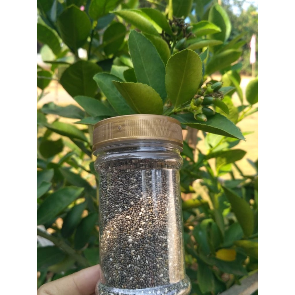

Chia Seed - Chiaseed - Biji Chia 100 gr [PPH]