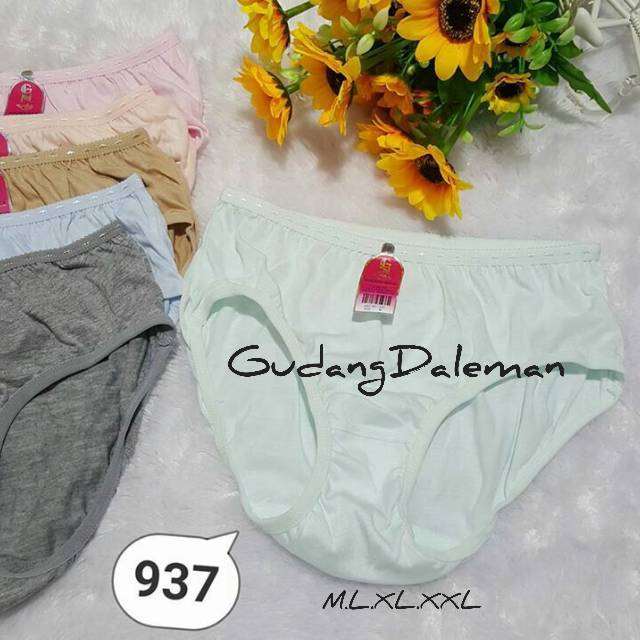 (1lusin)CD GOLDEN NICK 937 / 937 / golden nick / golden nick warna terang