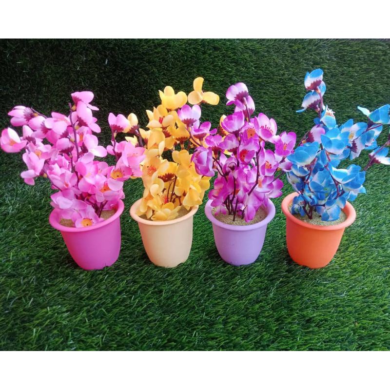 

bunga shabby 100rb dpt 5