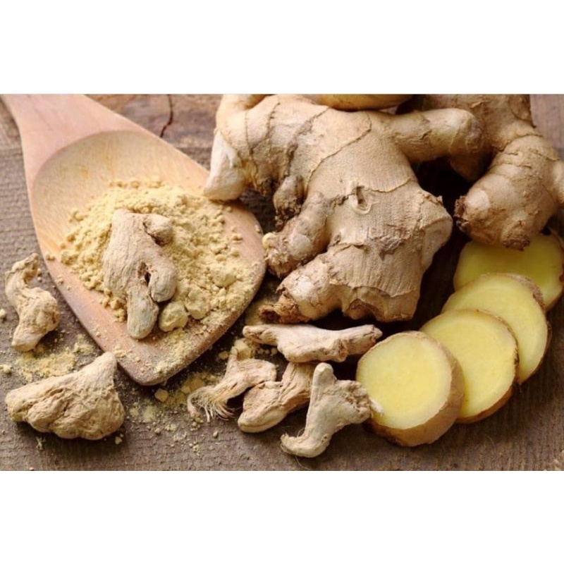 

Jahe Bubuk Murni 100g