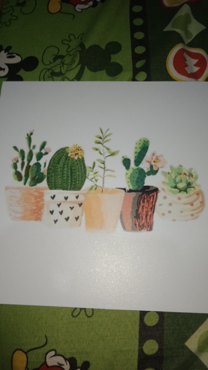 Wp Project Hiasan Dinding Walldecor Pajangan Dinding Shabby Chic Kaktus Succulents