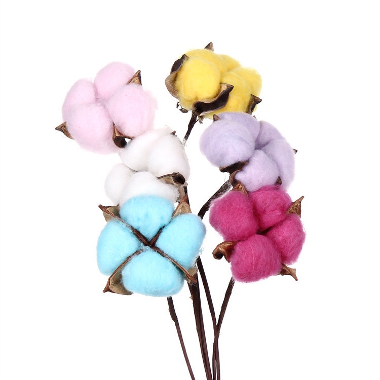 KB15 BUNGA KAPAS KERING / DRIED COTTON FLOWER ECER PER TANGKAI BUNGA HIAS [1KG=171PCS]