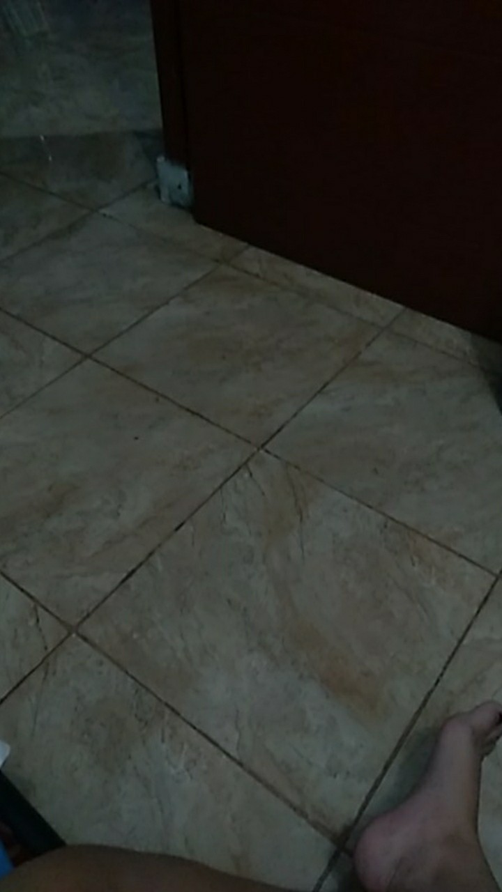 Cod- Batik Pria Dewasa M L Xl Xxl- Batik Pekalongan