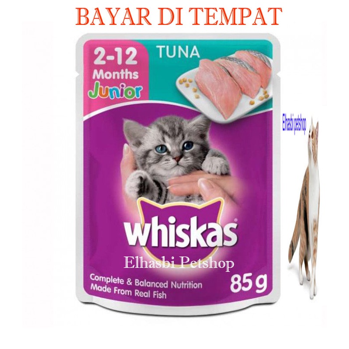 makanan kucing whiskas basah