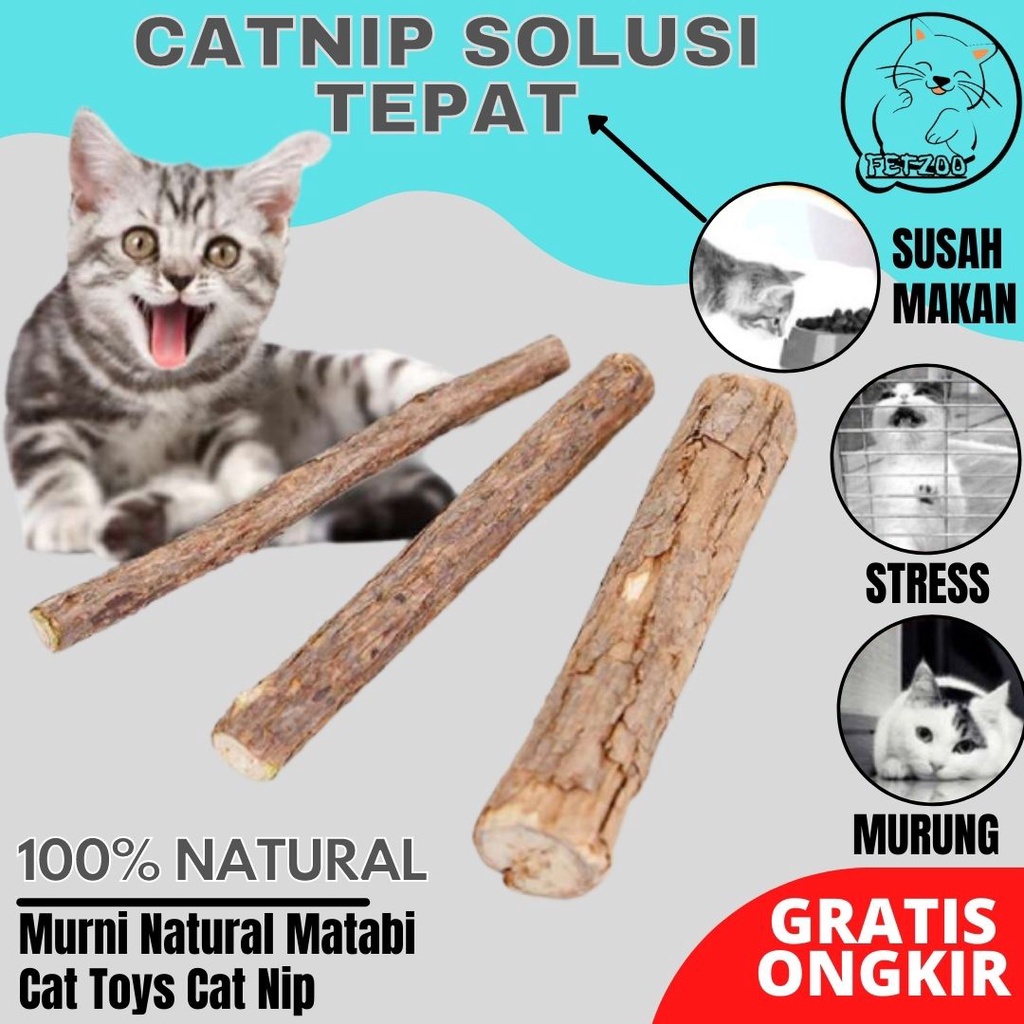 Catnip Stik Catnip Stick Kucing Catip Murni Snack Kucing Cat Toys