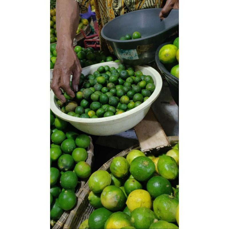 

Jeruk Limau (Jeruk Sambel), limo