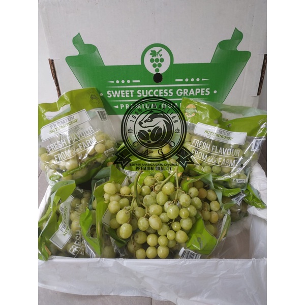 Anggur Hijau Autumn Crispy Australia 1 Dus (9 KG) Fresh Import