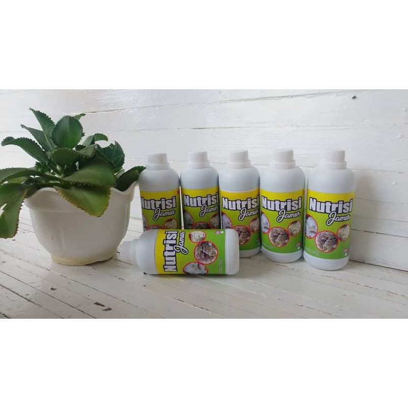 

[COD] jamur nutrisi malang NUTRISI BAGLOG ISI 600ML