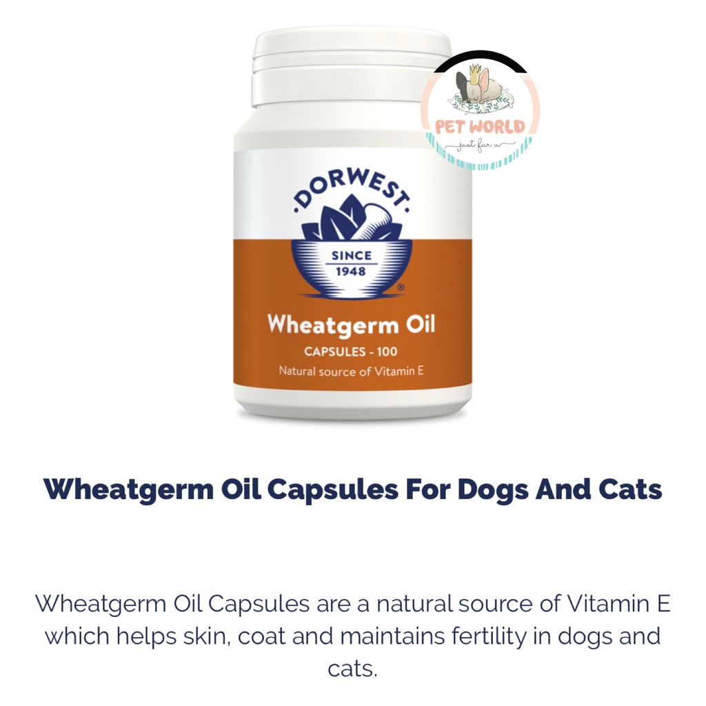 Jual Dorwest Wheatgerm Oil Dog Supplement Vitamin E Anjing Kucing Hewan Indonesia Shopee Indonesia