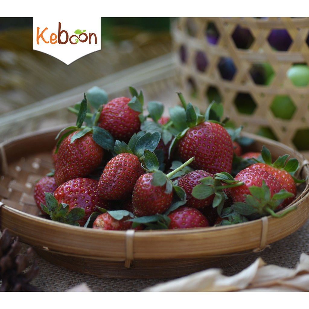 

Strawberry Lokal (250 gr)