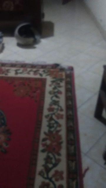 Irus Donat Cetakan Donat Cair Goreng Gagang Kayu