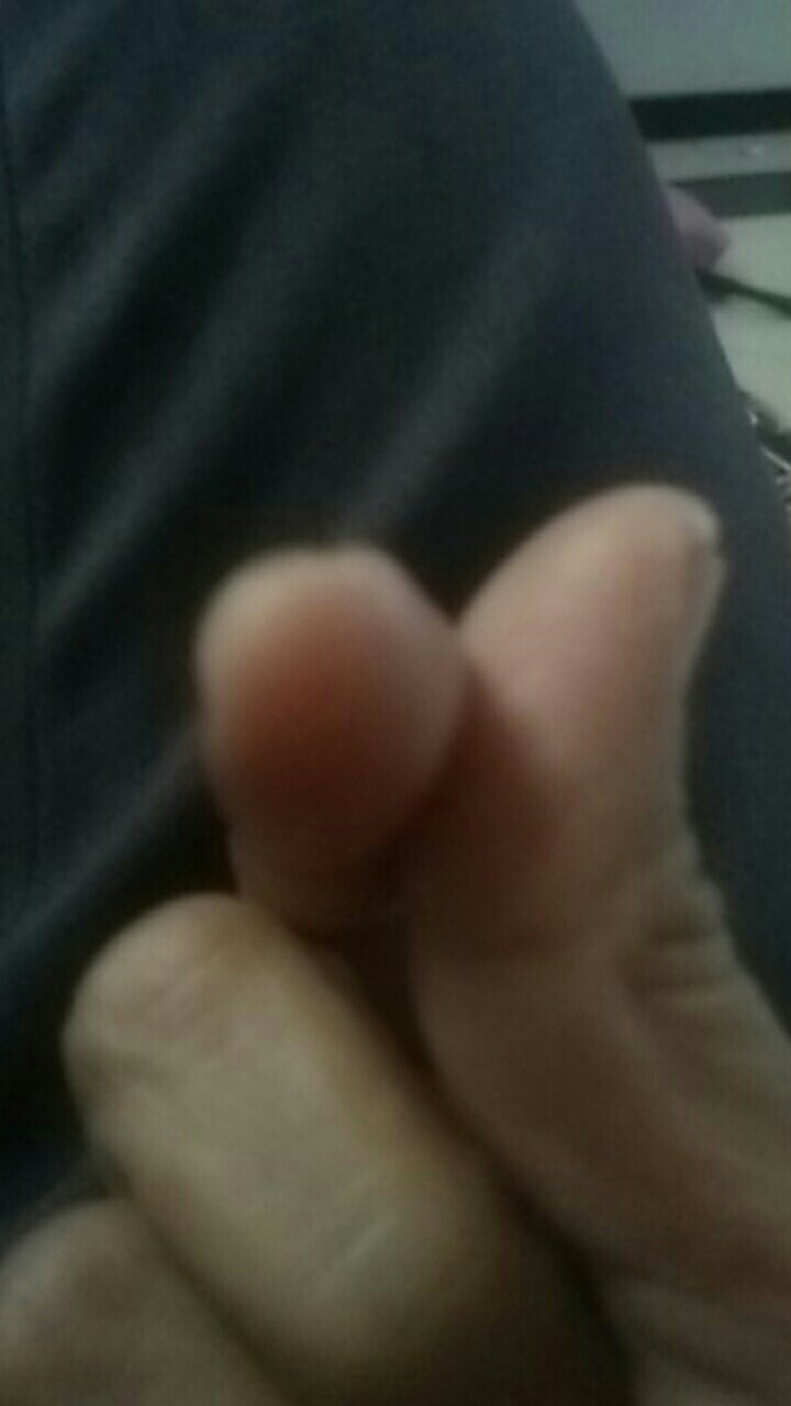 Cake Scrapper Penghalus Buttercream  Cake Adjustable Alat Dekorasi Kue Tart Alat Hias Cream Kue