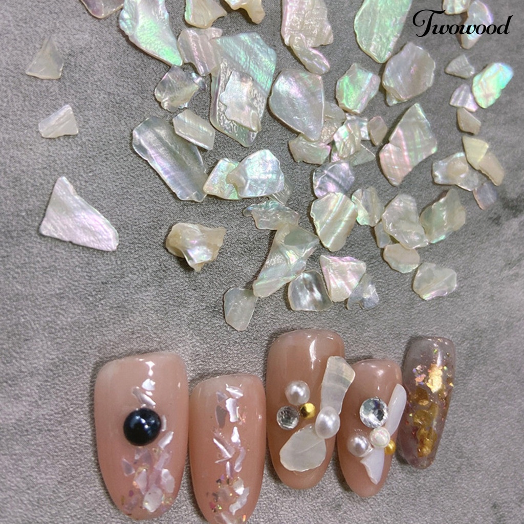 Ornamen Payet Kerang Abalone Asimetris 3D Untuk Aksesoris Nail Art