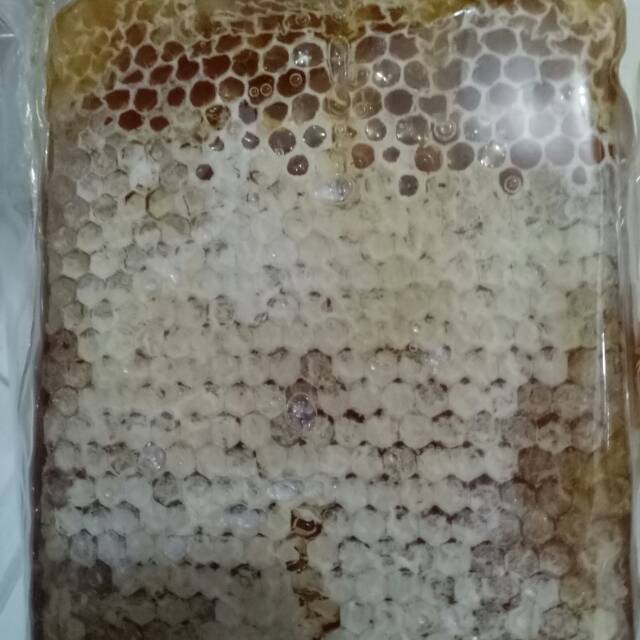 

MADU SARANG MELIFERA COKLAT HONEY COMB 500GR