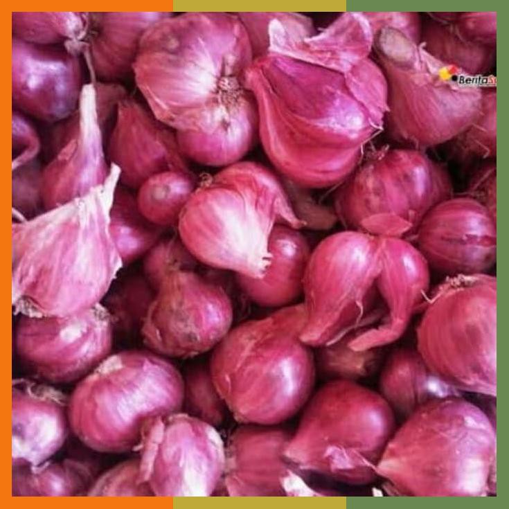 

Bawang Merah Brebes