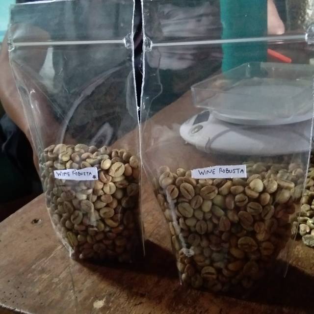 

Wine robusta asli lampung 1200 mdpl