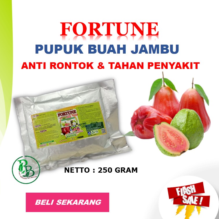 Pupuk Penyubur Buah Jambu Air, PUPUK BOOSTER JAMBU BERBUAH LEBAT