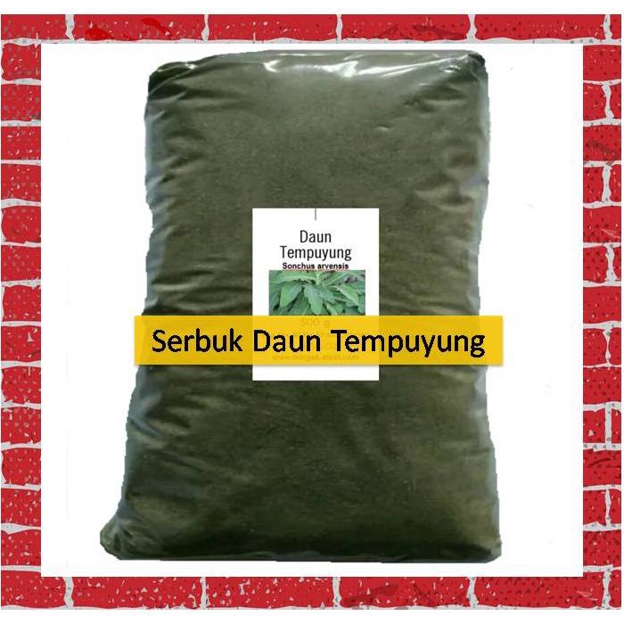 

Bubuk Serbuk Daun Tempuyung 500 gram Simplisia Bubuk Sonchus Arvensis bahan herbal murah