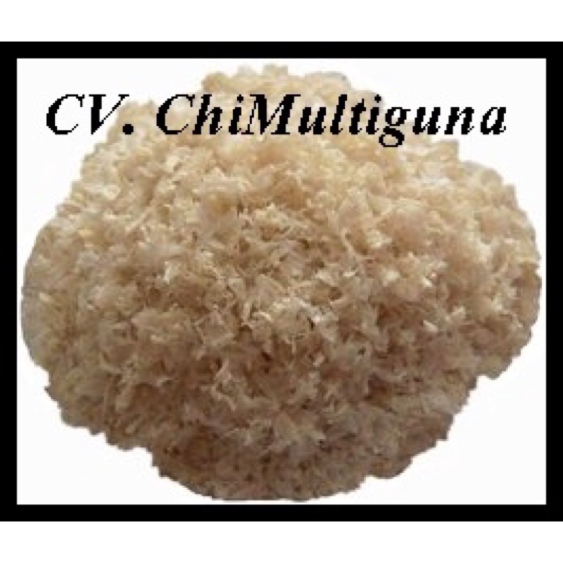 chitosan industrial 1,7 kg