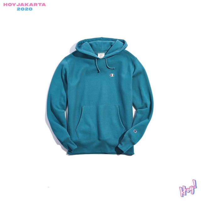 small champion logo hoodie