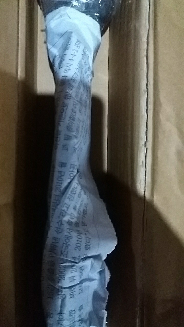 Bibit Long Murbei Super Manis