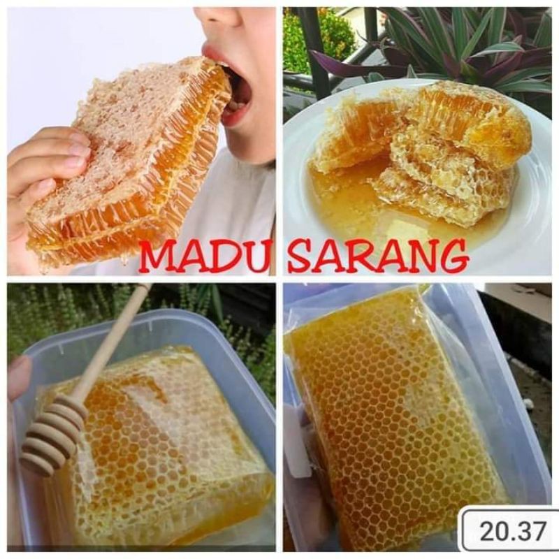 

madu sarang asli