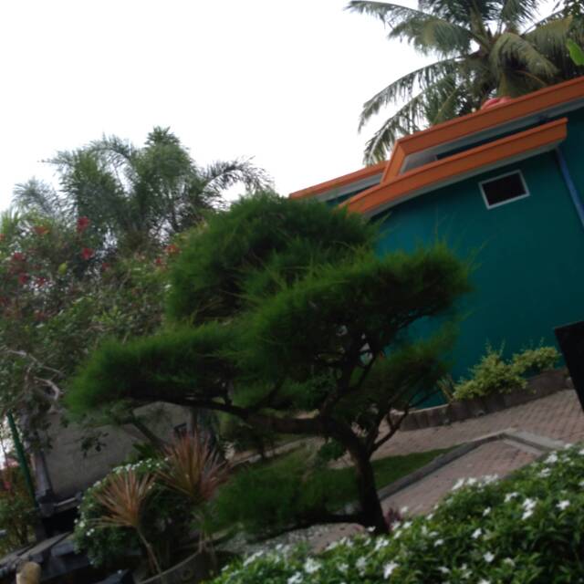viet_icha