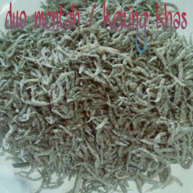 

Ikan duo abu-abu 500 gram khas kota palu