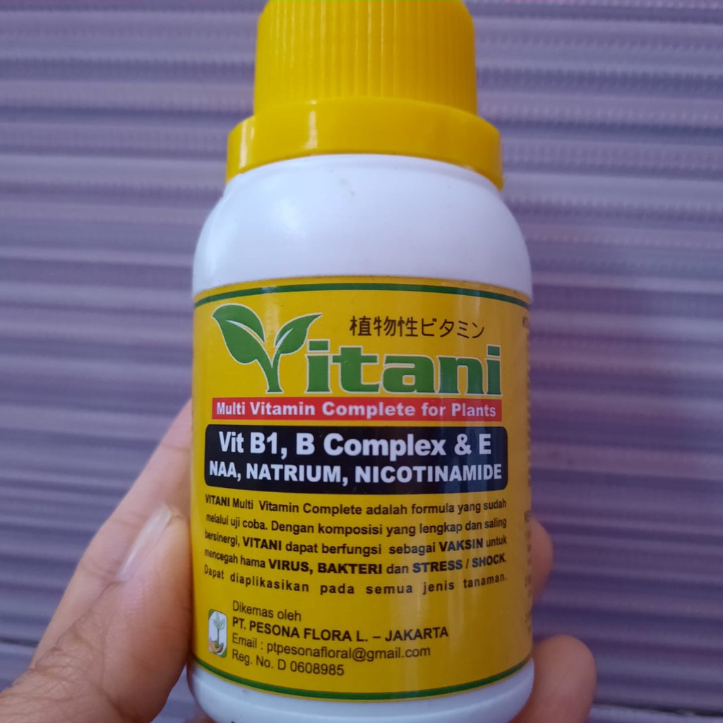 Jual Vitamin B1, B1 Complex,Vit E VITANI 100ml | Shopee Indonesia