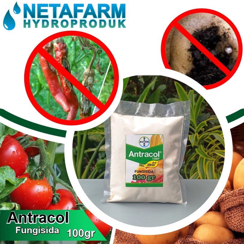 Fungisida Antracol 70 Wp - Kemasan 100 Gram (repacking)