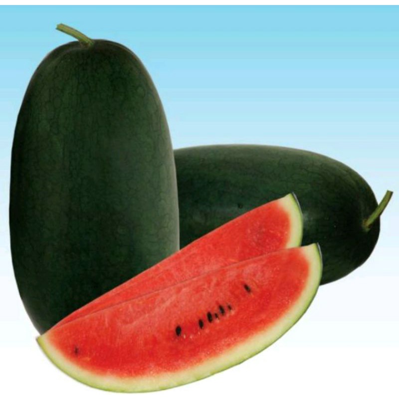 Semangka inul fresh manis 1 buah +-2kg Pasar segar depok