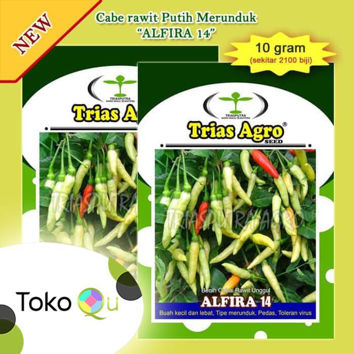 Benih Bibit Cabai Rawit Putih Merunduk ALFIRA 14 10gr
