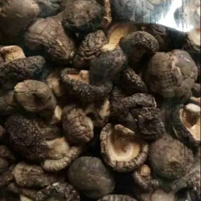 Jamur hioko kecil / mini 100 gram